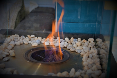 Bioethanol fireplace 